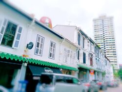 Tanjong Pagar Conservation Area (D2), Retail #568125371